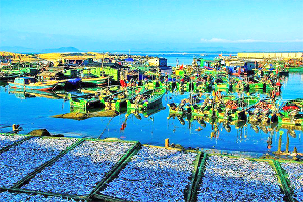 9001���Ž�ɳ