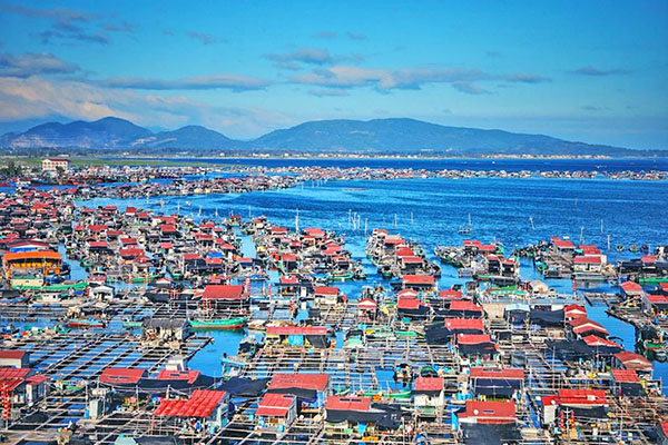 9001���Ž�ɳ