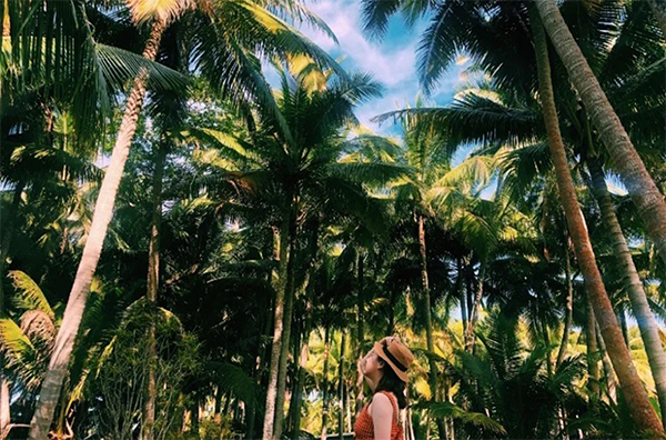 9001���Ž�ɳ