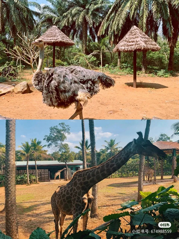 9001���Ž�ɳ