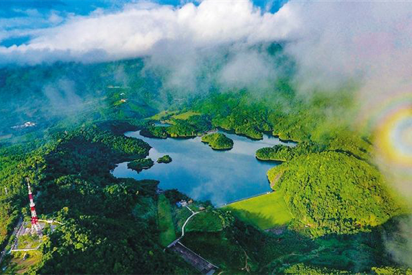 ���ϵ���ɫ��ʳ����Щ