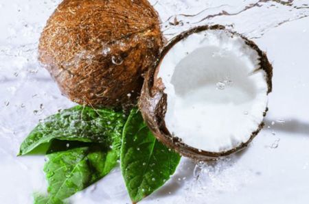 ��Ũ��Ҭ�ӷ۸��úȵĴ���Ҫ��